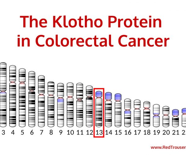 klotho-protein
